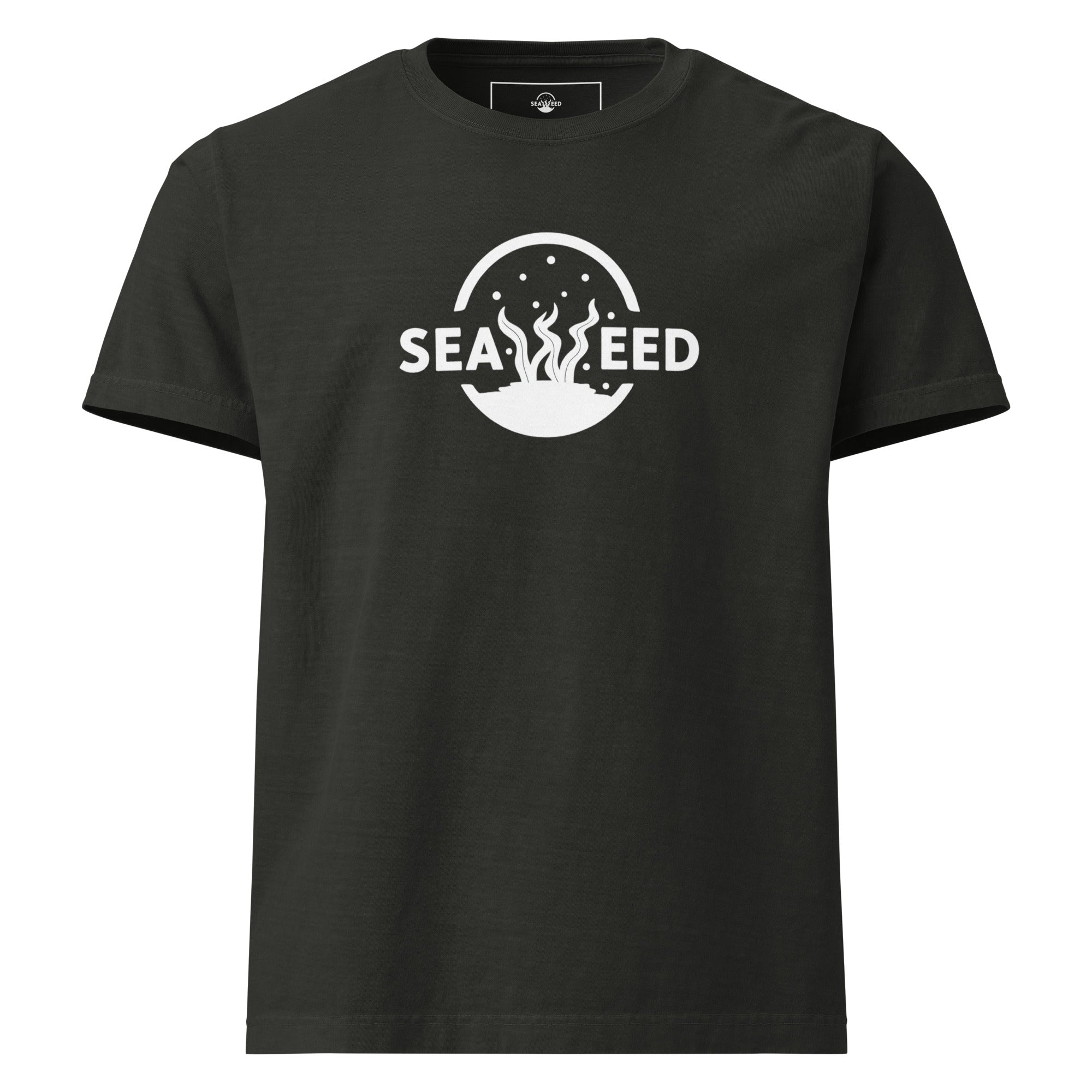 Basic oversized t-shirt – Seaweed